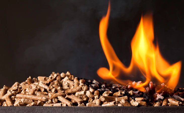 Intérieur résidentiel moderne avec poêle à bois en fonte noire en fonctionnement, flammes visibles