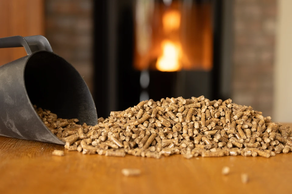 Intérieur résidentiel avec poêle à bois moderne en fonctionnement, flammes visibles à travers la vitre